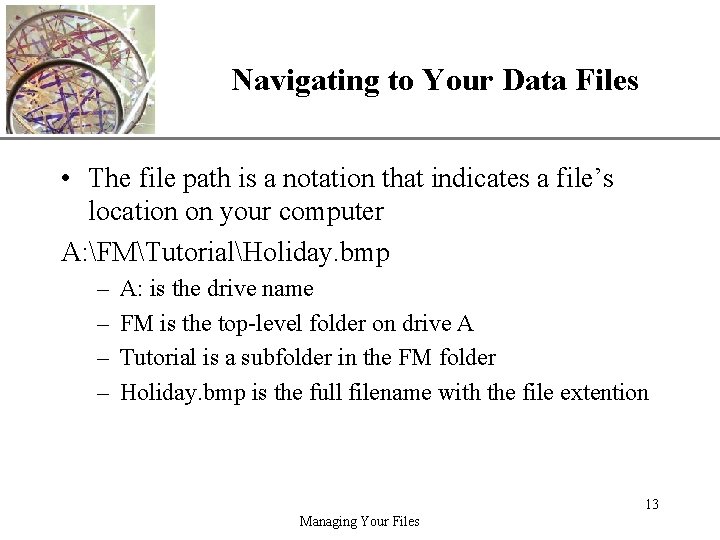 XP Navigating to Your Data Files • The file path is a notation that