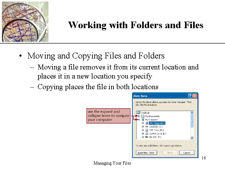 Working with Folders and Files XP • Moving and Copying Files and Folders –