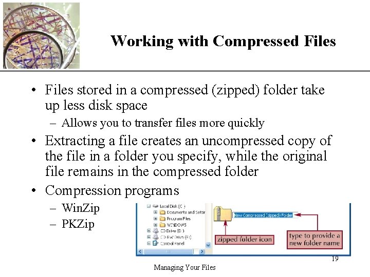 Working with Compressed Files XP • Files stored in a compressed (zipped) folder take
