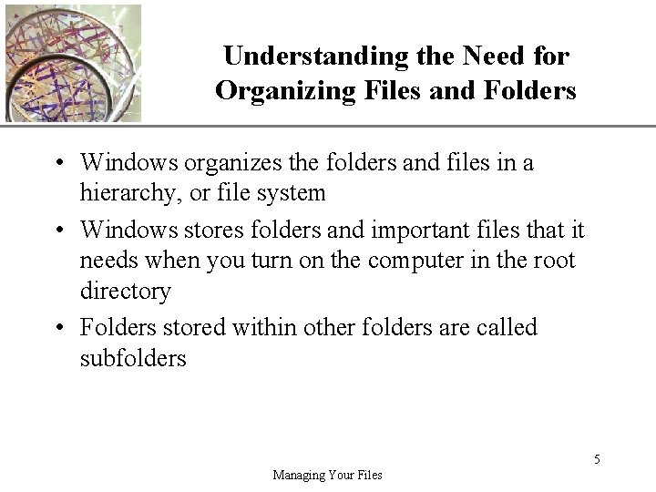 Understanding the Need for Organizing Files and Folders XP • Windows organizes the folders