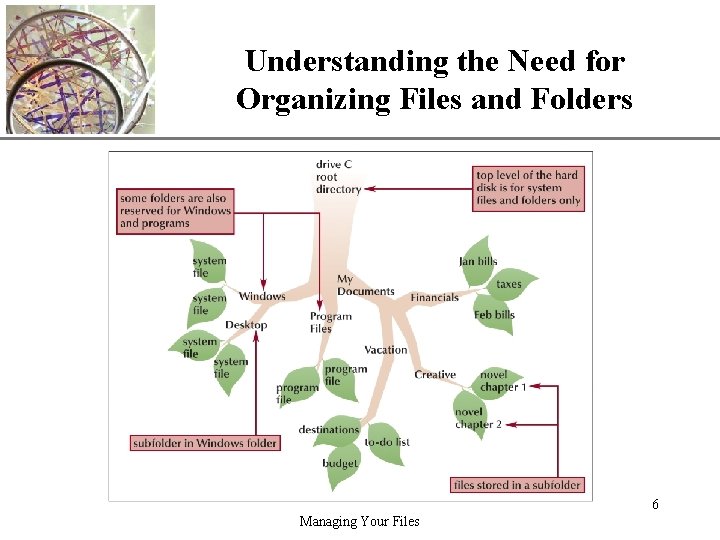 Understanding the Need for Organizing Files and Folders XP 6 Managing Your Files 