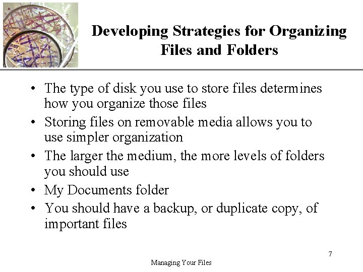 XP Developing Strategies for Organizing Files and Folders • The type of disk you