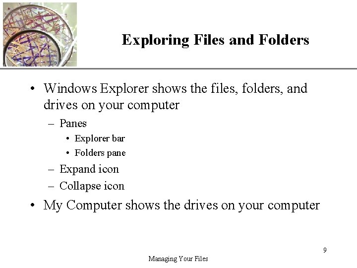 Exploring Files and Folders XP • Windows Explorer shows the files, folders, and drives