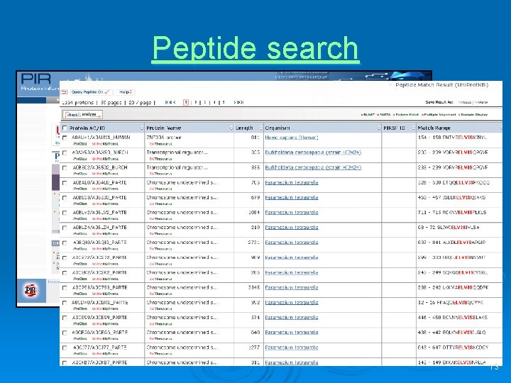 Peptide search 13 