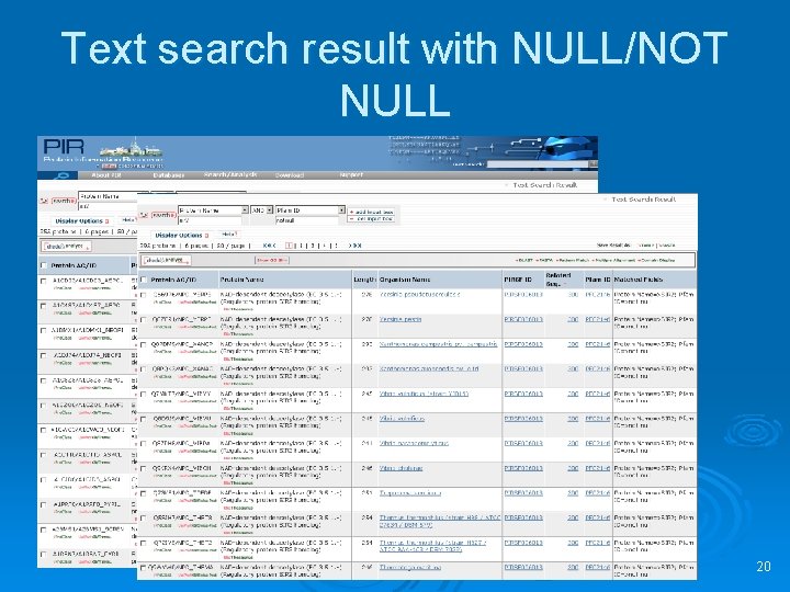 Text search result with NULL/NOT NULL 20 