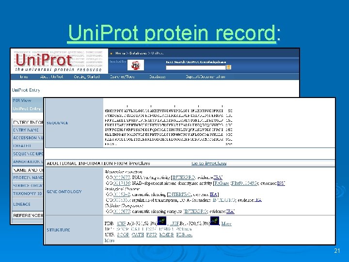 Uni. Prot protein record: 21 