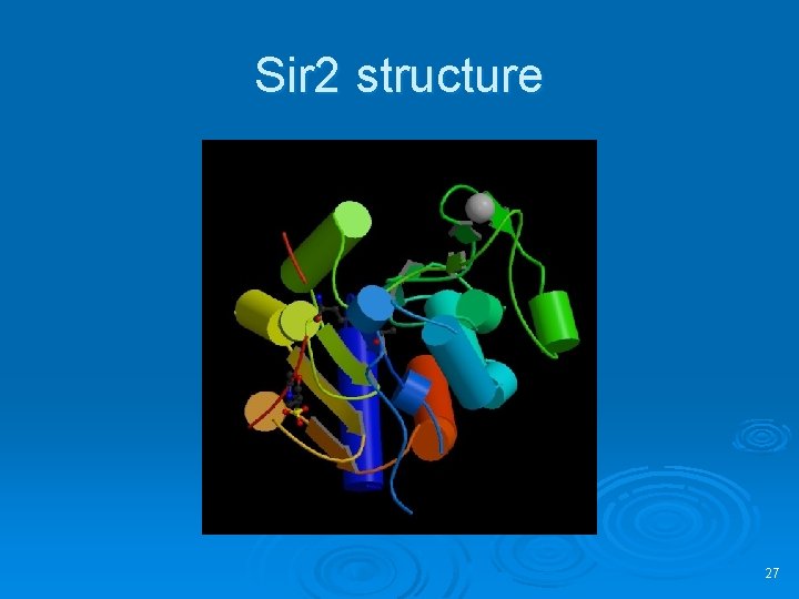 Sir 2 structure 27 