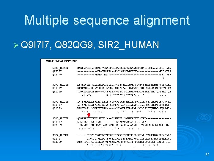 Multiple sequence alignment Ø Q 9 I 7 I 7, Q 82 QG 9,