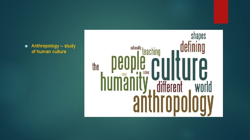  Anthropology – study of human culture 