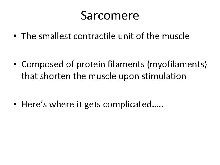 Sarcomere • The smallest contractile unit of the muscle • Composed of protein filaments