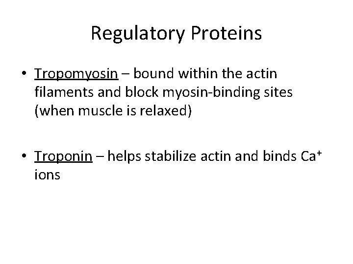 Regulatory Proteins • Tropomyosin – bound within the actin filaments and block myosin-binding sites
