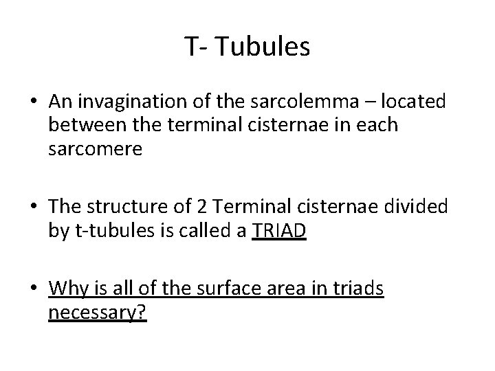 T- Tubules • An invagination of the sarcolemma – located between the terminal cisternae