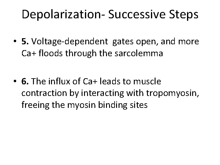 Depolarization- Successive Steps • 5. Voltage-dependent gates open, and more Ca+ floods through the