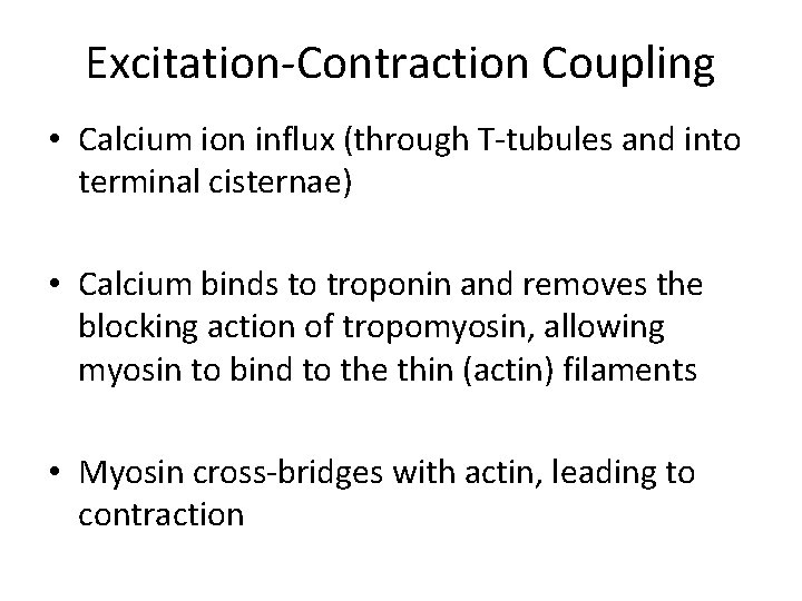 Excitation-Contraction Coupling • Calcium ion influx (through T-tubules and into terminal cisternae) • Calcium