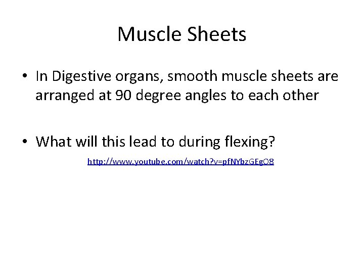 Muscle Sheets • In Digestive organs, smooth muscle sheets are arranged at 90 degree