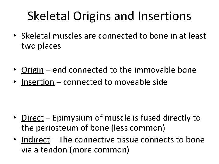 Skeletal Origins and Insertions • Skeletal muscles are connected to bone in at least