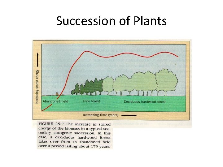 Succession of Plants 