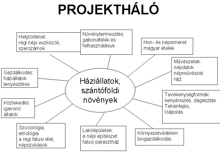 PROJEKTHÁLÓ Helytörténet: régi népi eszközök, szerszámok Gazdálkodás: háziállatok tenyésztése Közlekedés: igavonó állatok Szociológia, etnológia: