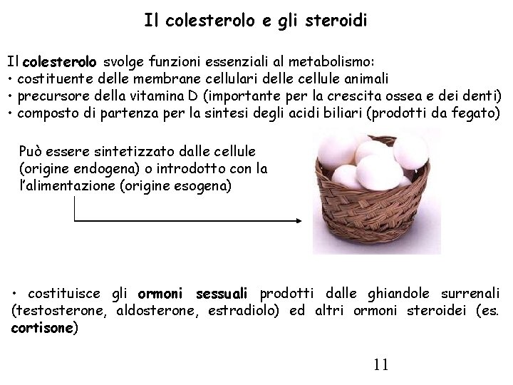 Il colesterolo e gli steroidi Il colesterolo svolge funzioni essenziali al metabolismo: • costituente