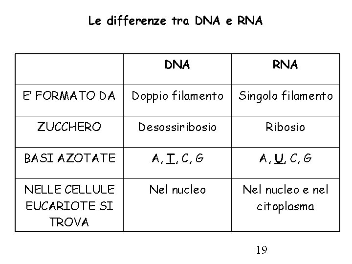 Le differenze tra DNA e RNA DNA RNA E’ FORMATO DA Doppio filamento Singolo
