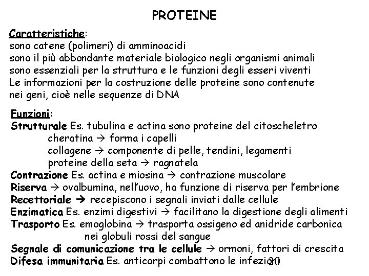 PROTEINE Caratteristiche: sono catene (polimeri) di amminoacidi sono il più abbondante materiale biologico negli