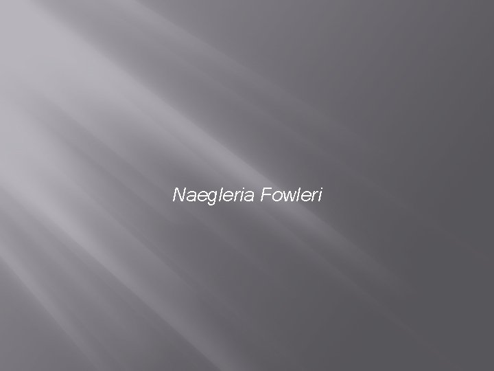 Naegleria Fowleri 