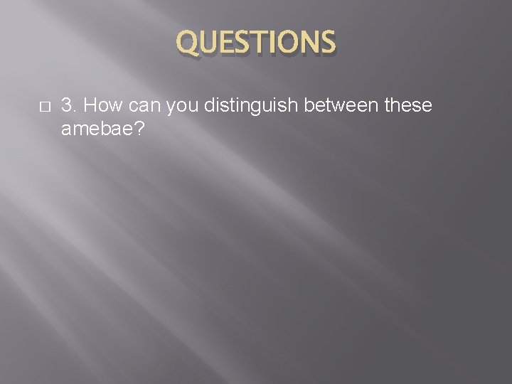 QUESTIONS � 3. How can you distinguish between these amebae? 