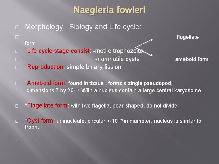 Naegleria fowleri � Morphology , Biology and Life cycle: flagellate � form � *Life