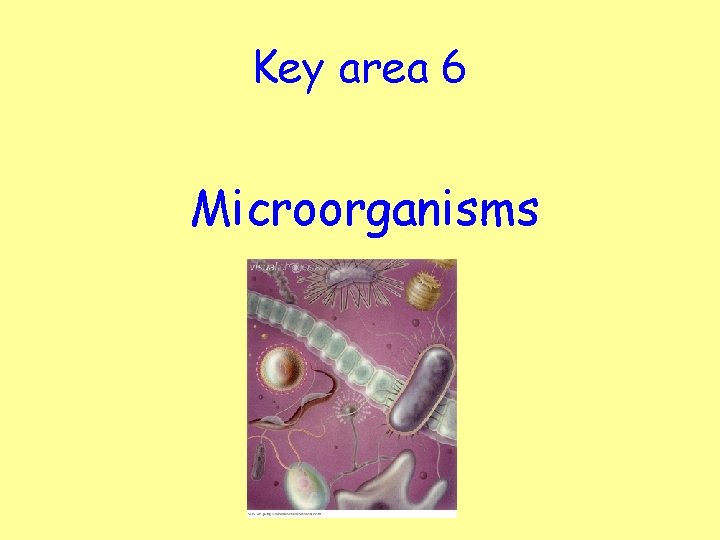 Key area 6 Microorganisms 