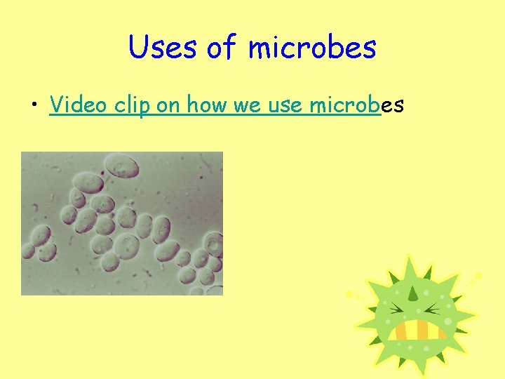 Uses of microbes • Video clip on how we use microbes 