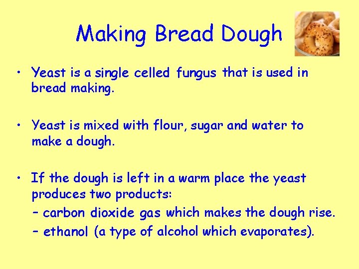 Making Bread Dough • Yeast is a single celled fungus that is used in