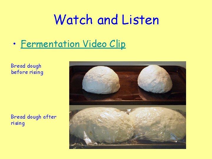 Watch and Listen • Fermentation Video Clip Bread dough before rising Bread dough after