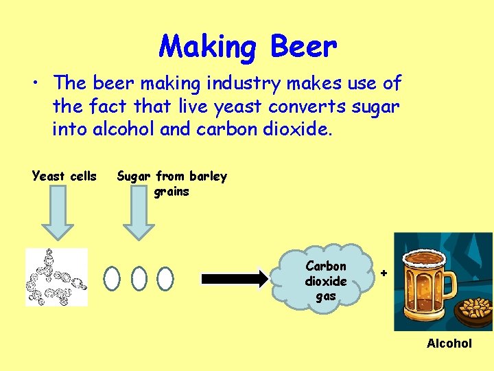 Making Beer • The beer making industry makes use of the fact that live