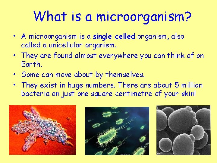 What is a microorganism? • A microorganism is a single celled organism, also called