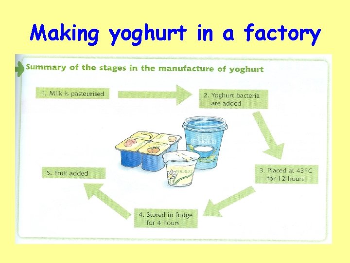 Making yoghurt in a factory 