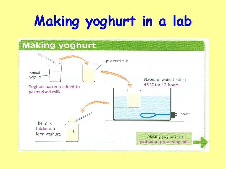 Making yoghurt in a lab 