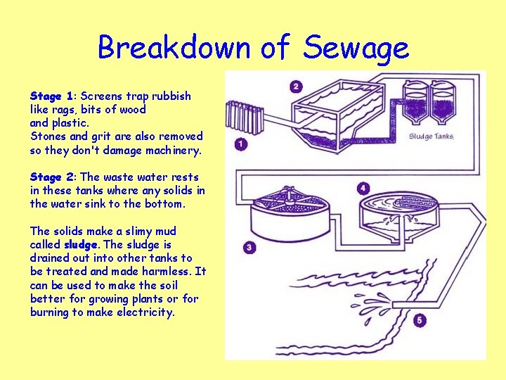 Breakdown of Sewage Stage 1: Screens trap rubbish like rags, bits of wood and