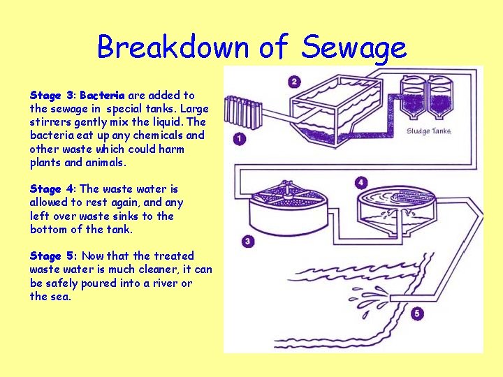 Breakdown of Sewage Stage 3: Bacteria are added to the sewage in special tanks.