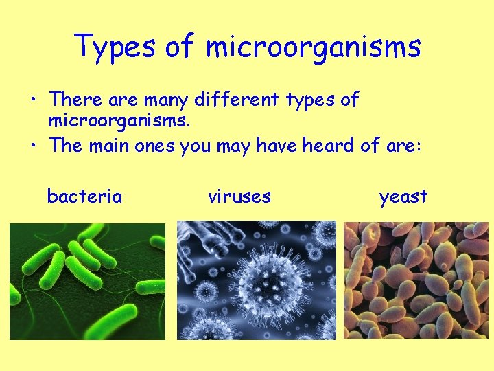 Types of microorganisms • There are many different types of microorganisms. • The main