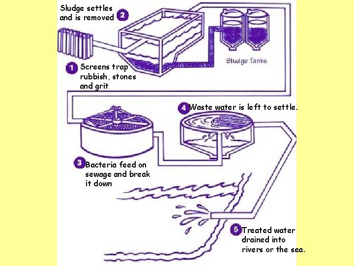 Sludge settles and is removed Screens trap rubbish, stones and grit Waste water is