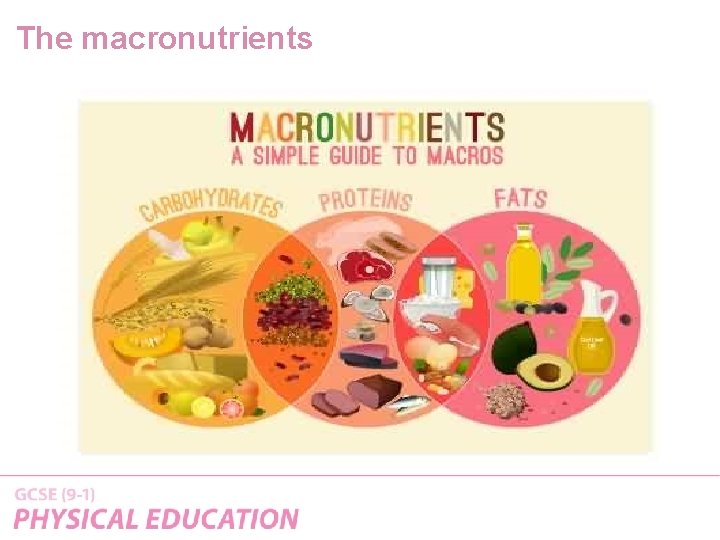 The macronutrients 