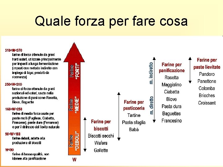 Quale forza per fare cosa 