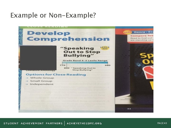 Example or Non-Example? PAGE 43 