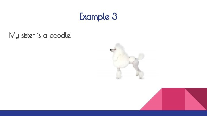 Example 3 My sister is a poodle! 