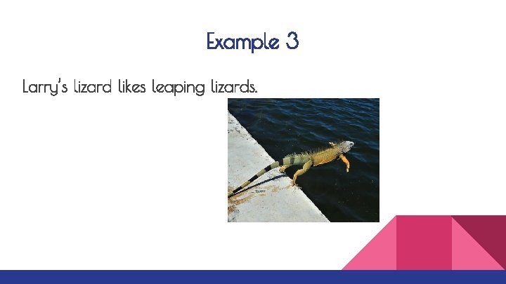 Example 3 Larry’s lizard likes leaping lizards. 
