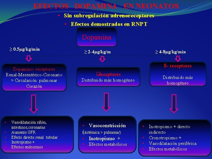 EFECTOS DOPAMINA EN NEONATOS • Sin subregulación adrenoreceptores • Efectos demostrados en RNPT Dopamina