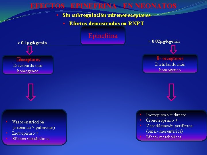 EFECTOS EPINEFRINA EN NEONATOS • Sin subregulación adrenoreceptores • Efectos demostrados en RNPT Epinefrina