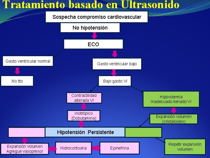 Tratamiento basado en Ultrasonido Sospecha compromiso cardiovascular No hipotensión ECO Gasto ventricular normal Gasto