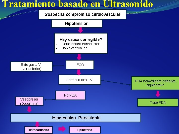 Tratamiento basado en Ultrasonido Sospecha compromiso cardiovascular Hipotensión Hay causa corregible? • • Bajo