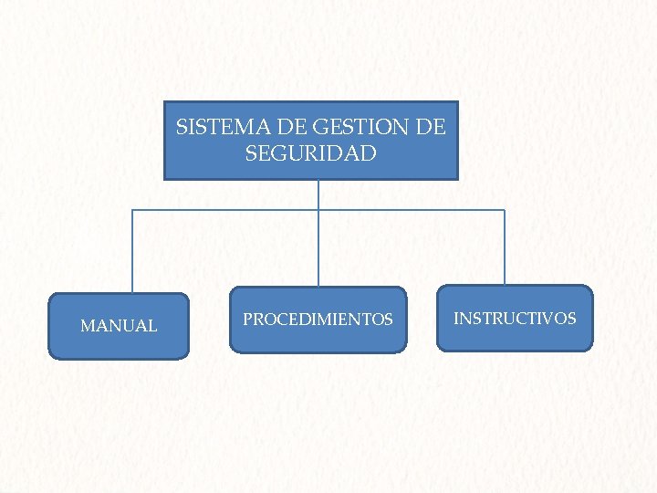 SISTEMA DE GESTION DE SEGURIDAD MANUAL PROCEDIMIENTOS INSTRUCTIVOS 